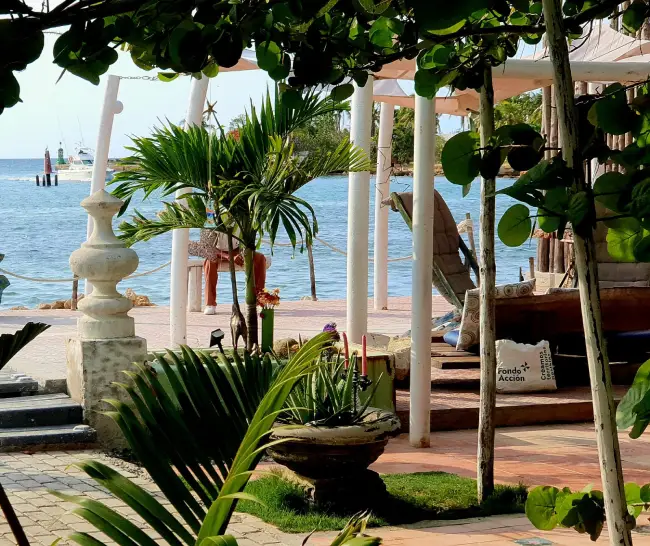 Educational Cuba Sue Herrod