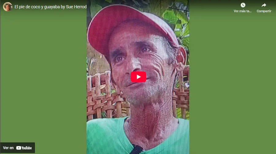 El pie de coco y guayaba by Sue Herrod